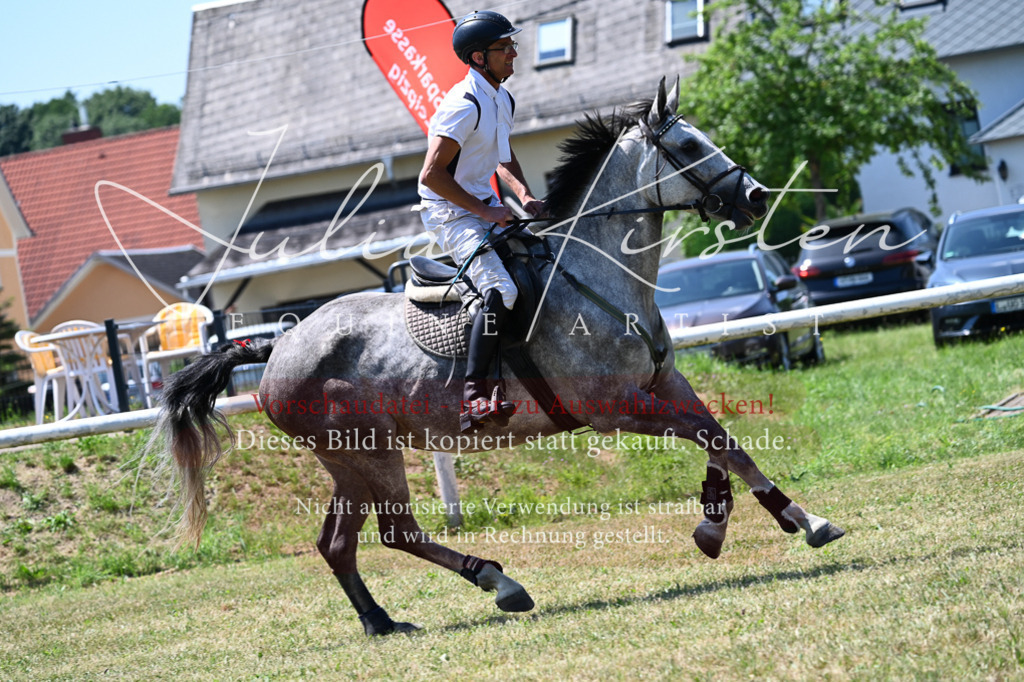 DSC_0650 | Pferde- und Turnierfotografie in Westsachsen. Pferdeportraits, Auftragszeichnungen und intuitive Kunst.