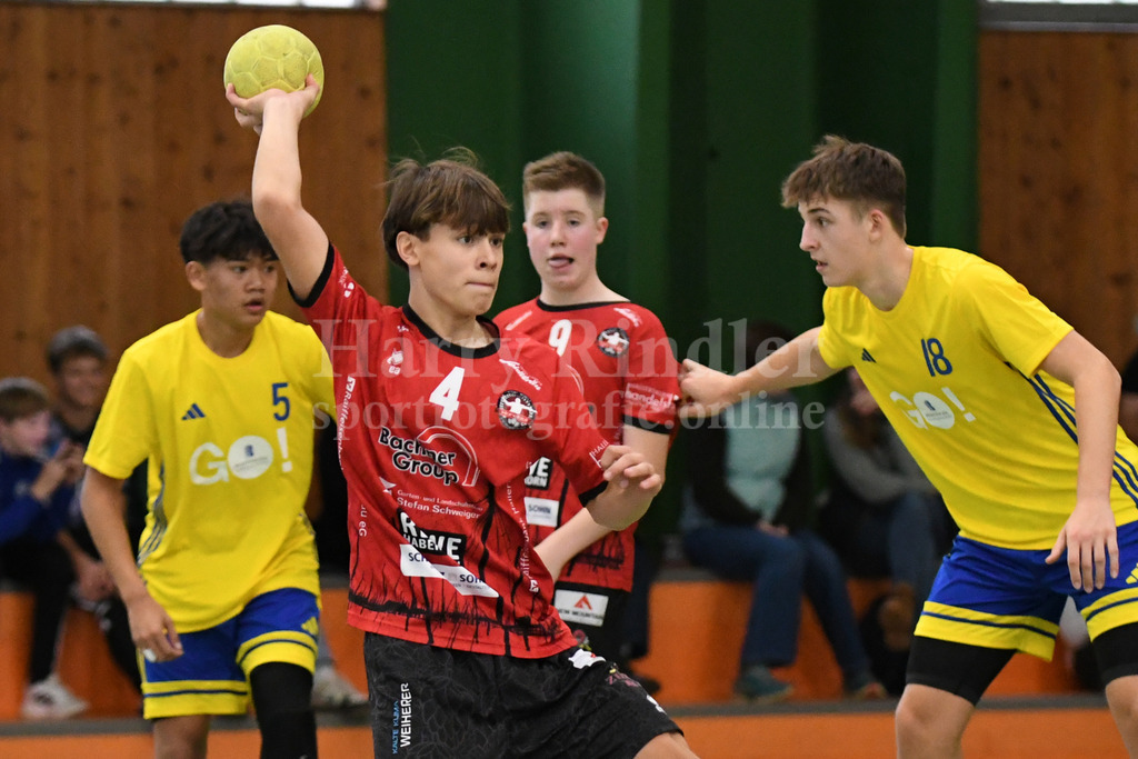 NI5_1978 | Ha-Ri; Sportfotografie Ha-Ri; Sporfotografie Harry Rindler; Sport Deggendorf; Sportbilder Deggendorf; Sportfotos Deggendorf; Sportfotos Niederbayern; Sportbilder Niederbayern; Amateursport Niederbayern; Bayern;  - Realisiert mit Pictrs.com