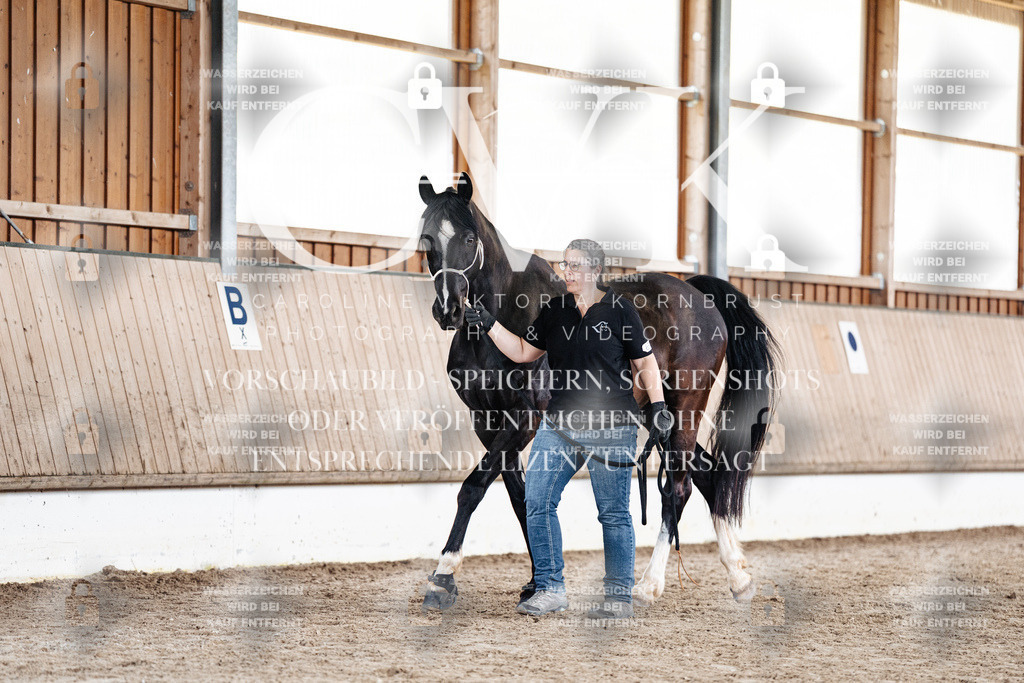 CK908019 | Turnierfotografie Pferdefotografie Trier Rheinland-Pfalz Pferdesport Reitsport Tierfotografie Sportfotografie Pferdevideo Pferdevideografie Equestrianvideography equestrianphotography  - Realisiert mit Pictrs.com