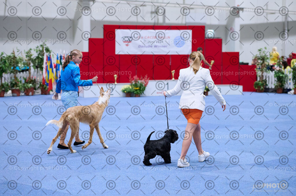 202406_ÖKV-IHA-Tulln24_DSC_2732 | proPHOTO - Realisiert mit Pictrs.com