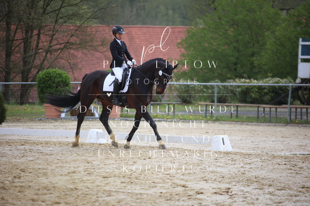 IMGT5357 | pl-fotografie