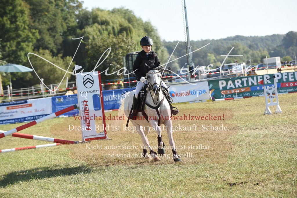DSC_5673 | Pferde- und Turnierfotografie in Westsachsen. Pferdeportraits, Auftragszeichnungen und intuitive Kunst.