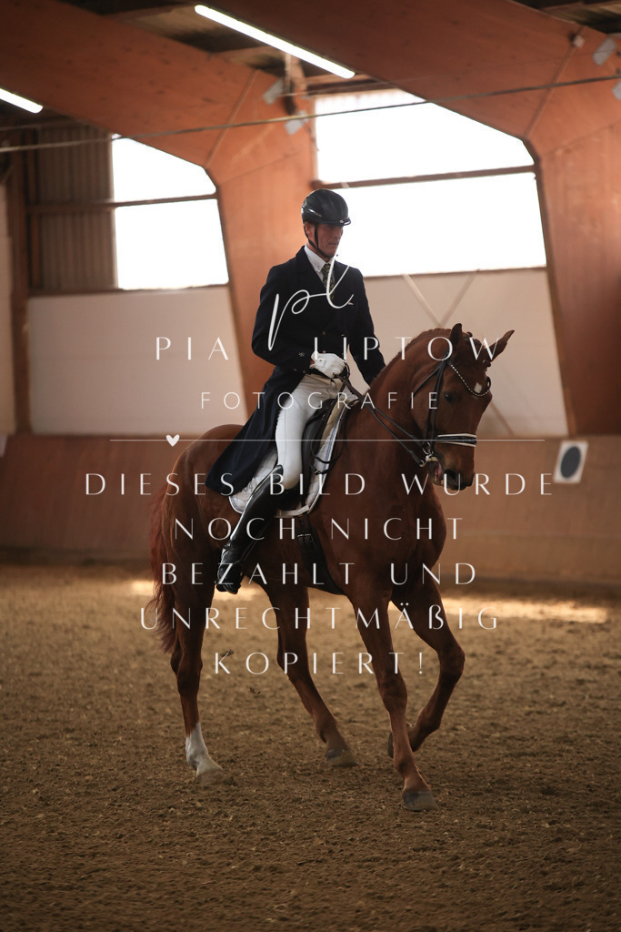 IMGT4227 | pl-fotografie