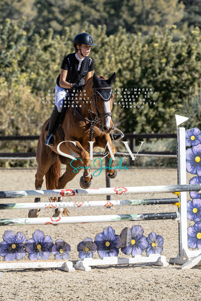 IMG_0691 | s-jay-photography - Realisiert mit Pictrs.com