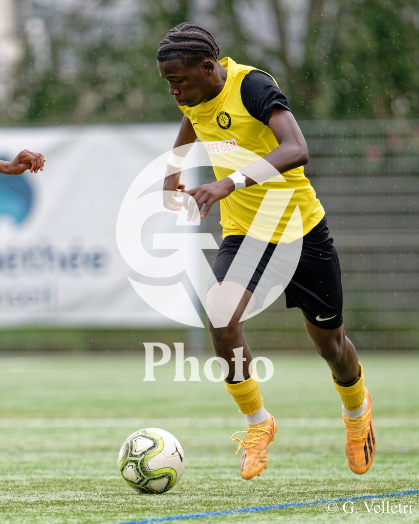 DSC_6953 | Velletri Photo