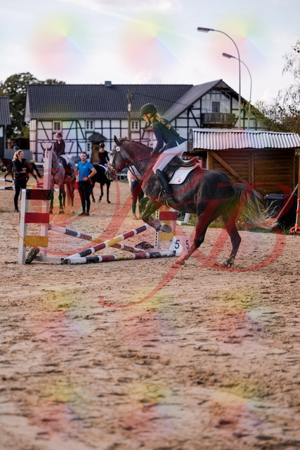 2026_10_03_Siefer-Hof_144927_Z81_27404817 | Professionelle Reitsport-, Turnier- und Eventfotografie von Robert Broda. Galerien mit ausgewählten und bearbeiteten Bildern direkt online ansehen und bestellen.