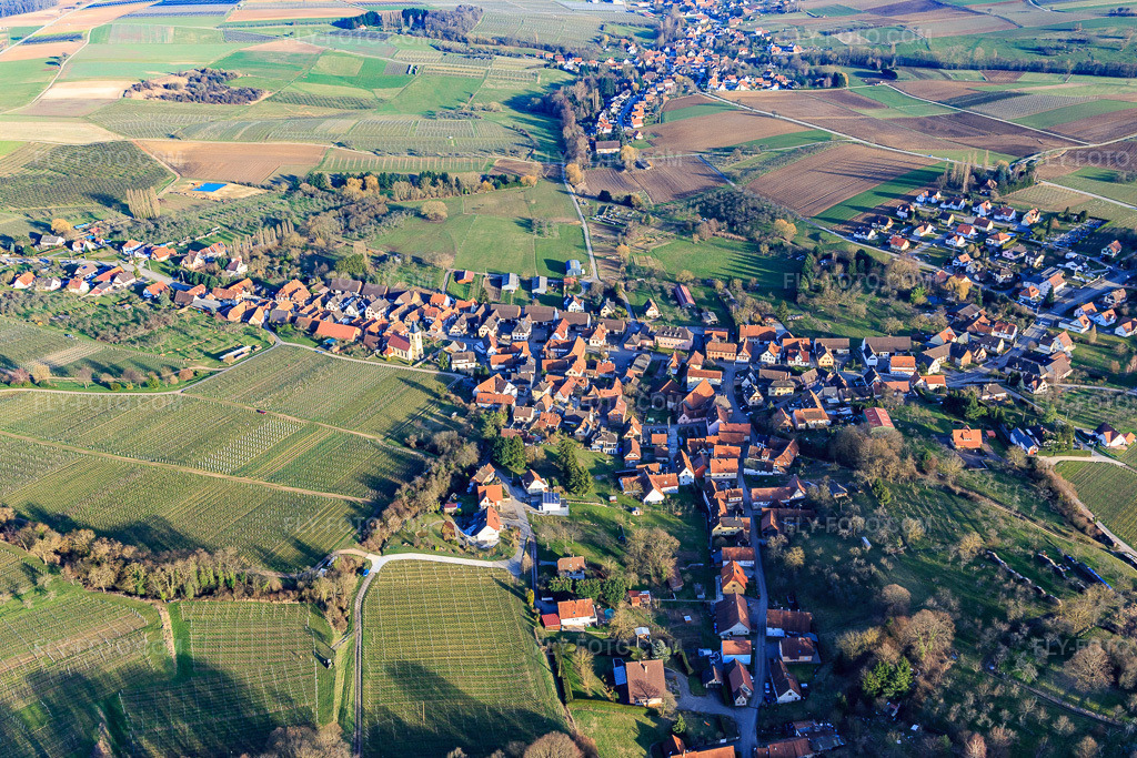 Aerial view: View of the town from the northwest in Rott in the state Bas-Rhin, France. – Photo: IMG_104941.jpg taken on 03/21/2018 by Werner Riehm/FLY-FOTO.com – Resolution of the original: 5306 x 3538 px