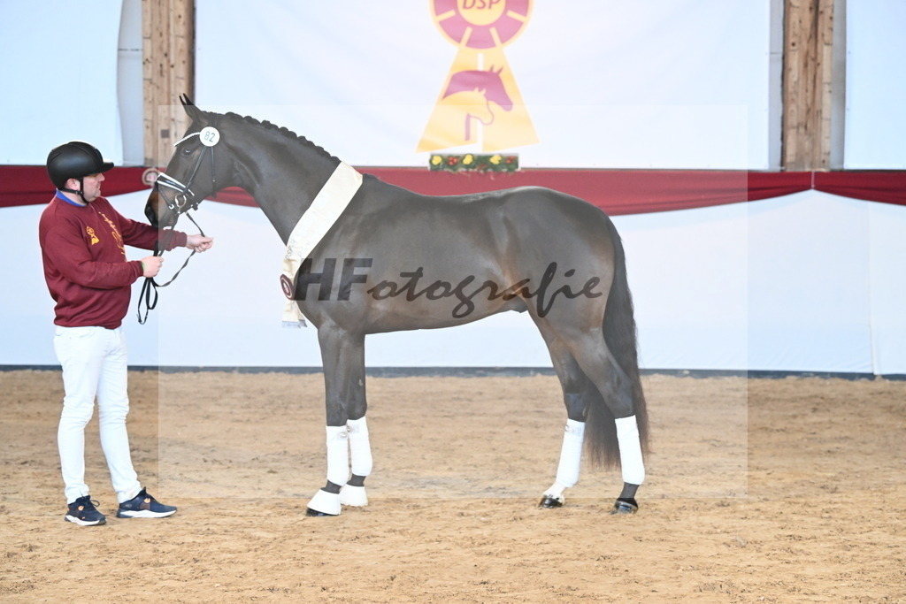 Kat.-Nr. 82 v. Von Und Zu_Berger_2242969 | hf-fotografie - Realisiert mit Pictrs.com