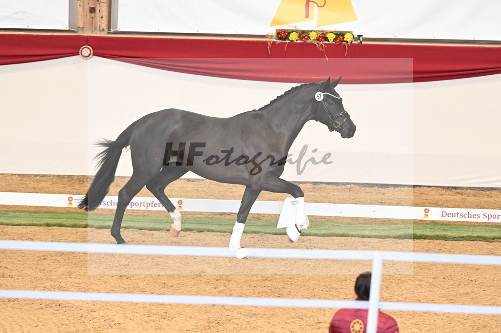 Kat.-Nr. 57 v. Feliciano_Vavrikova_3260616 | hf-fotografie - Realisiert mit Pictrs.com