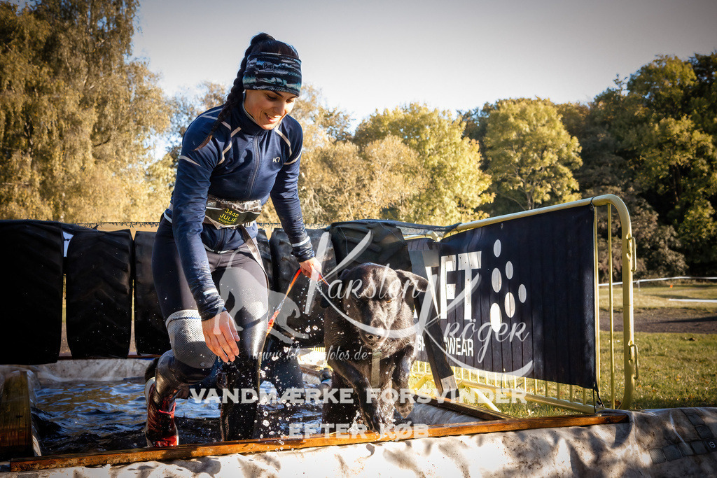 0929_ZZ91186-Bearbeitet | kk-dogfotos