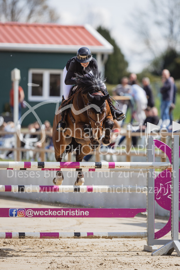 230501_SpengeW_M2St-136 | Deine schönsten Turniermomente als professionelle Fotos! Entdecke hochwertige Pferdesport-Fotografie im Online-Shop. Jetzt Fotos finden & bestellen!