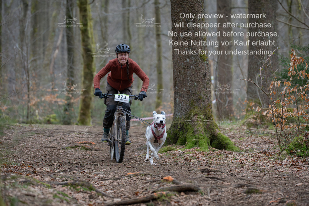 Bike_So-150 | stephaniefillaphotographie - Realisiert mit Pictrs.com