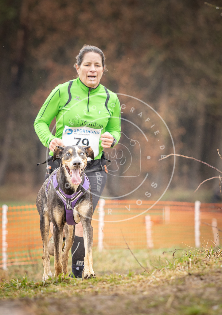 DV3A0318 | Hundefotografie, Tierfotograf, Pfotenfotografie, Fotoshooting Hund, Hunde Portrait, Hundesport, Hundeportraits, Heideshooting, Hunde, Sportfotograf, Hundefotograf, Turnierhundsport, THS,  - Realisiert mit Pictrs.com