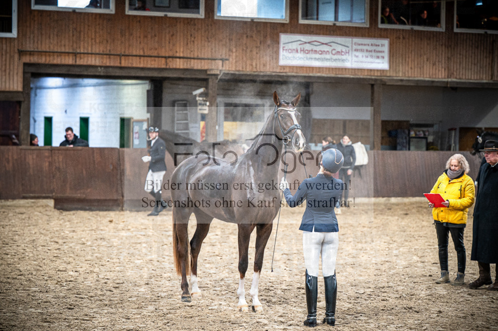 Hallenreittunier Voxtrup 2023 | Entdecke hochwertige Reitturnierfotos von Foto Oger. Professionell, emotional und authentisch – jetzt Lieblingsmomente im Shop bestellen.Deutschlandweite Turnierfotografie. - Realisiert mit Pictrs.com