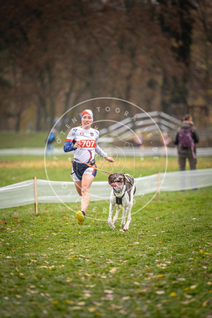 CaniXpix_DV3A9088 | Hundefotografie, Tierfotograf, Pfotenfotografie, Fotoshooting Hund, Hunde Portrait, Hundesport, Hundeportraits, Heideshooting, Hunde, Sportfotograf, Hundefotograf, Turnierhundsport, THS,  - Realisiert mit Pictrs.com