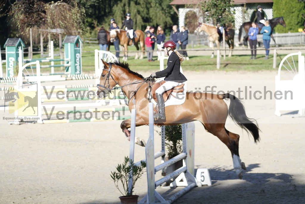 _MG_0765 | equestrian-live-com