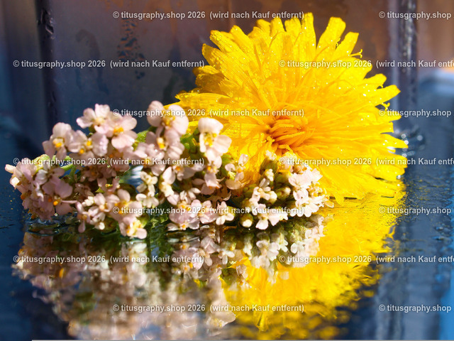 titusgraphy_P8054947-vz-ln | OLYMPUS DIGITAL CAMERA - Realisiert mit Pictrs.com