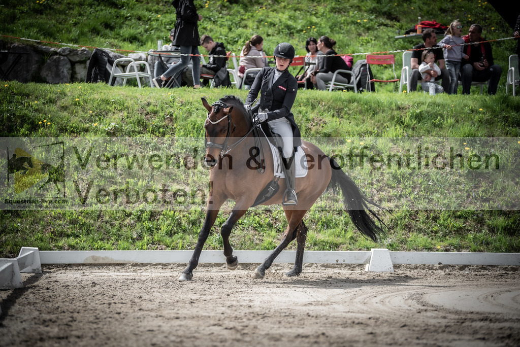 DSC_2483 | equestrian-live-com