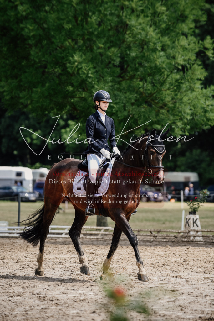 DSC_0823 | Pferde- und Turnierfotografie in Westsachsen. Pferdeportraits, Auftragszeichnungen und intuitive Kunst.