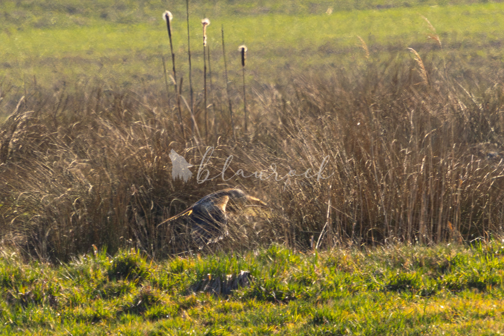 waterslide--7 | Frühlingserwachen