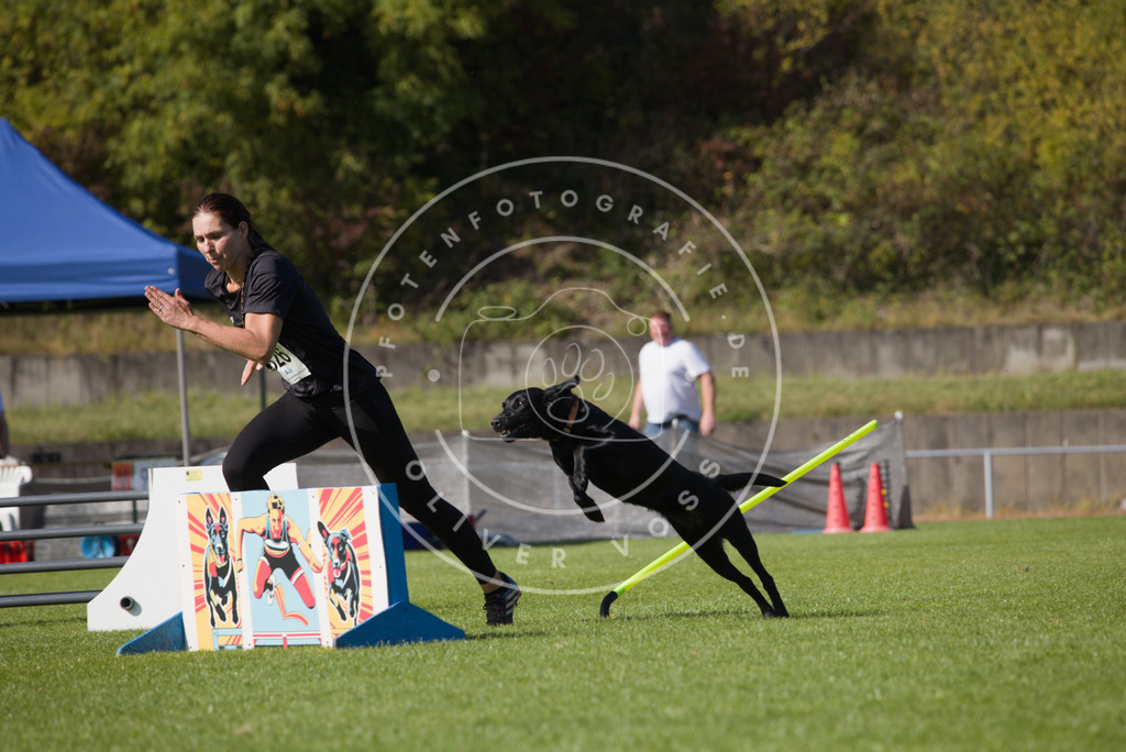 0L8A8617 | Hundefotografie, Tierfotograf, Pfotenfotografie, Fotoshooting Hund, Hunde Portrait, Hundesport, Hundeportraits, Heideshooting, Hunde, Sportfotograf, Hundefotograf, Turnierhundsport, THS,  - Realisiert mit Pictrs.com