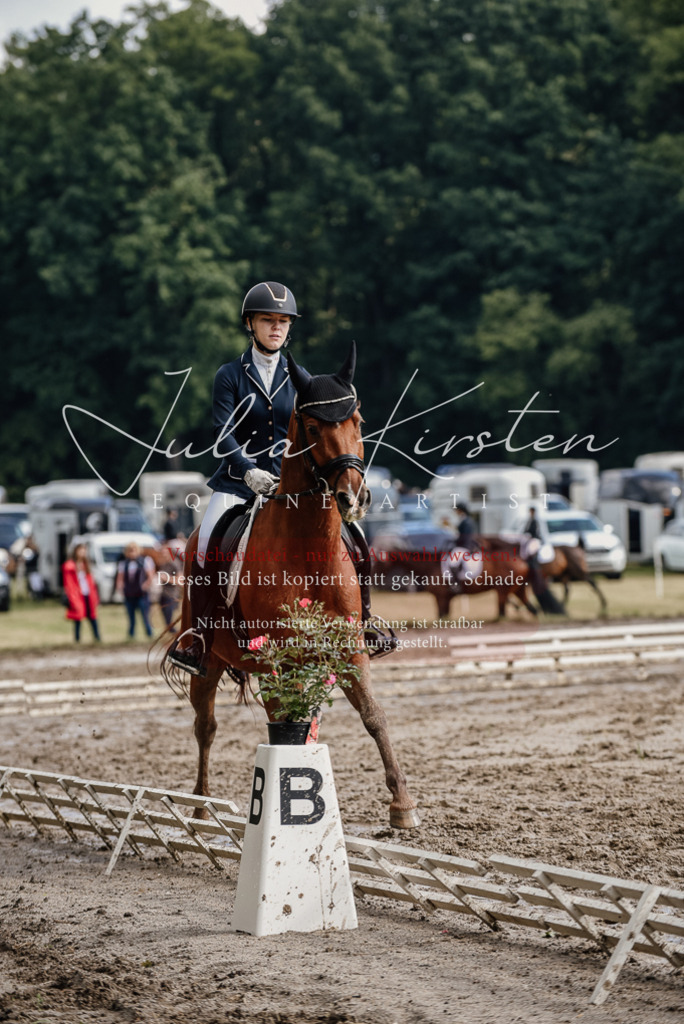 DSC_8959 | Pferde- und Turnierfotografie in Westsachsen. Pferdeportraits, Auftragszeichnungen und intuitive Kunst.