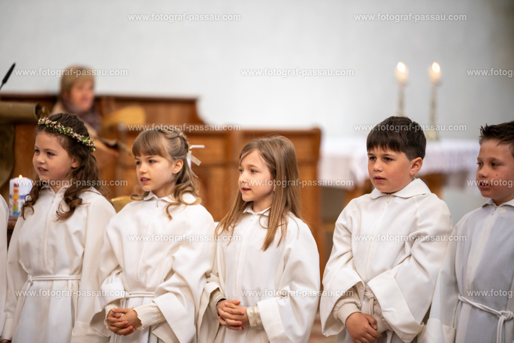 _DSC2677 | Hier finden Sie die Online Foto-Galerie von fotograf-passau.com und marius-handrugan.de. Suchen Sie sich direkt Ihre Lieblingsbilder aus, ob als Ausdruck oder Download. - Realisiert mit Pictrs.com