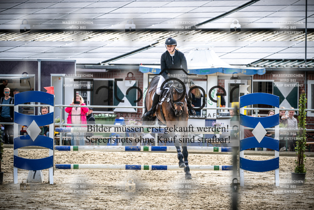 DOS_2598 | Reitturnier Lüdinghausen - Realisiert mit Pictrs.com