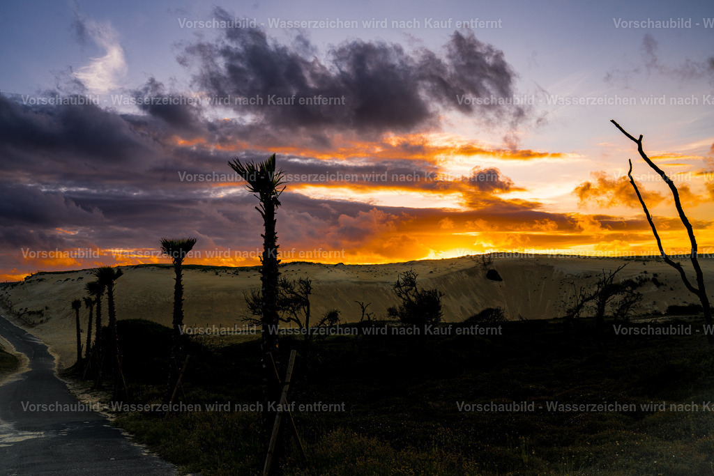 DSC01880 | marcuslinek