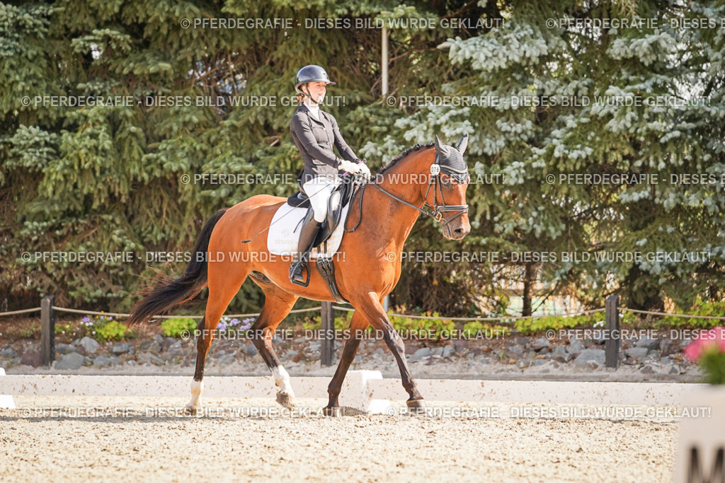 DSC00624 | Pferdegrafie