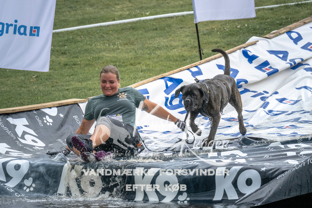1512_ZZ93986 | kk-dogfotos
