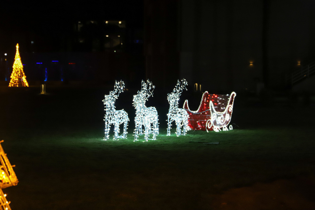 20231124041956_IMG_6326 | Frau-CB - Realisiert mit Pictrs.com