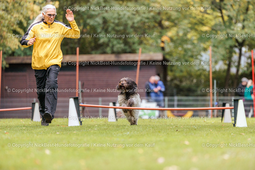 THS-HSV-Blumenthal-2026-Nickbest-Hundefotografie-2425 | Dein Hund! Dein Moment! Deine Erinnerungen! Hundefotografie in Bremen Blumenthal. Ich fange die besonderen Momente deines Vierbeiners ein – ob Indoor mit Blitzanlage oder in der freien Natur. Sicher dir dein Moment und dein Termin für eure Erinnerungen.