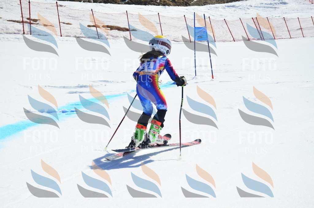 _ELE9893 | holidayphoto