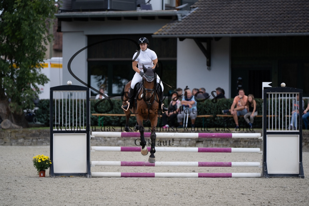 A7V07773 | Pferdefotograf