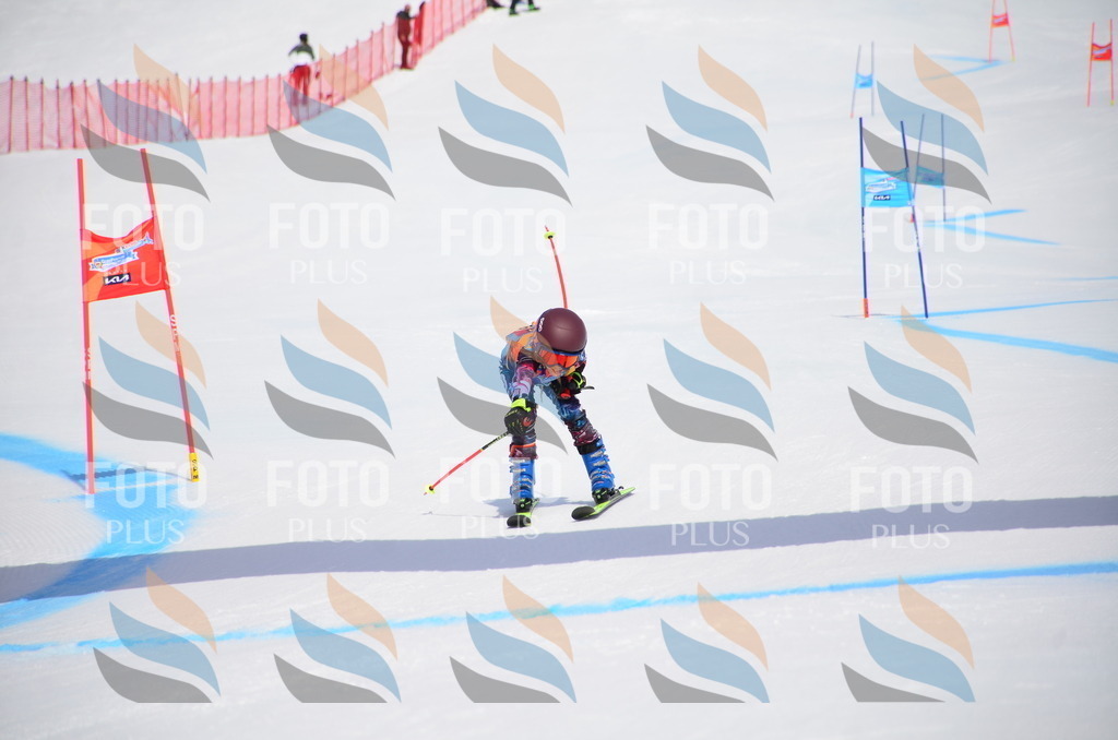 VR4_7396 | holidayphoto