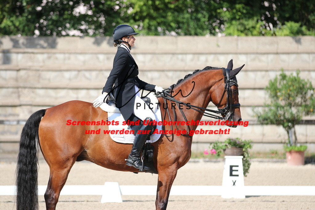 IMG_9092 | lmwpictures - Realisiert mit Pictrs.com