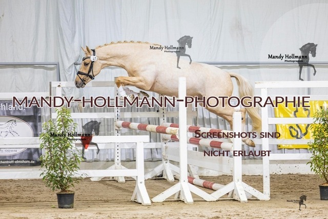 32 (17 von 35) | mandyhollmannphotographie