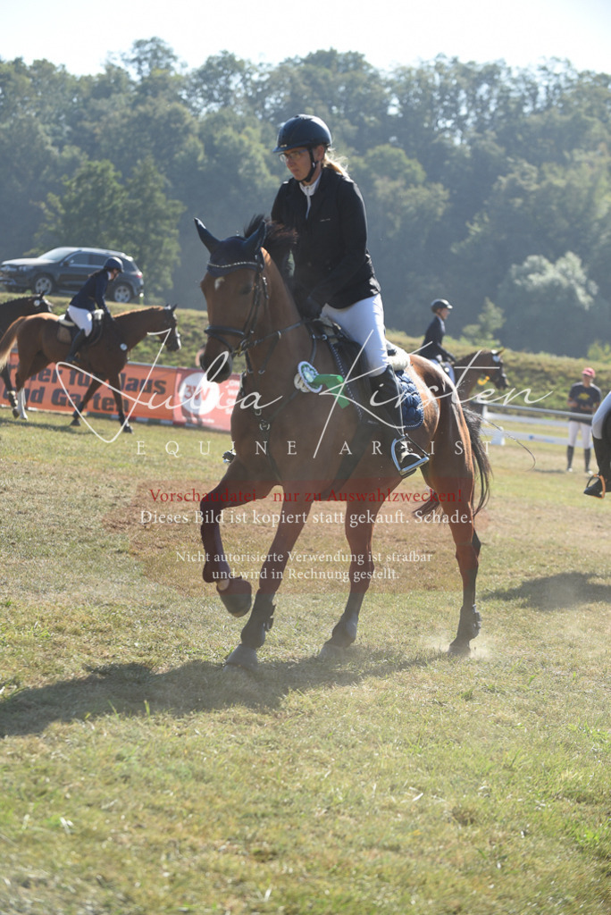 DSC_5508 | Pferde- und Turnierfotografie in Westsachsen. Pferdeportraits, Auftragszeichnungen und intuitive Kunst.