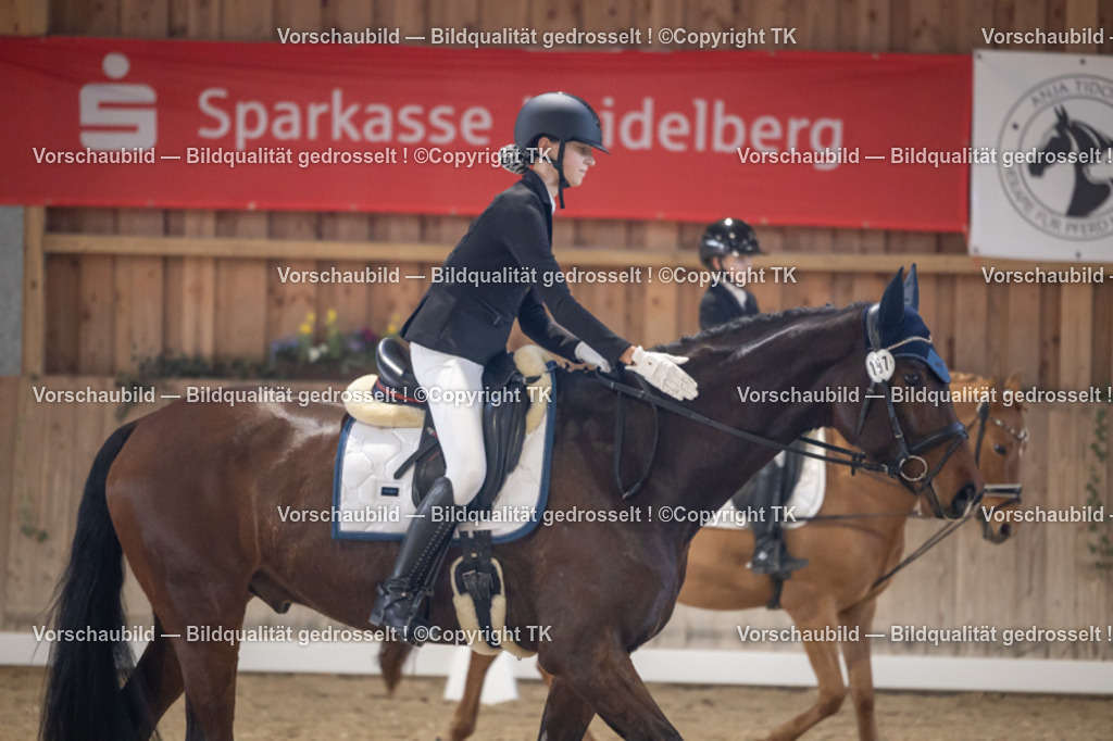 _D5A2261 | Emotionale Pferde- & People-Fotografie rund um Heidelberg, Leimen & Umgebung. Natürliche Fotos von Pferd, Mensch & Familie. Jetzt Termin sichern!