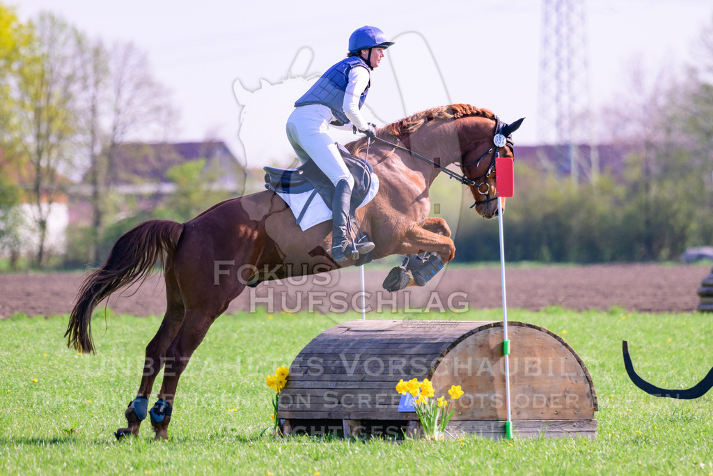 18042026-Gernlinden-03-0255 | Fokus Hufschlag Fotografie - Realisiert mit Pictrs.com
