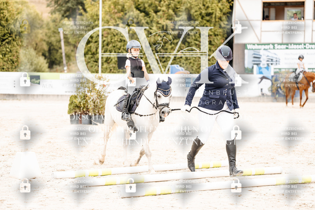 CK907375 | Turnierfotografie Pferdefotografie Trier Rheinland-Pfalz Pferdesport Reitsport Tierfotografie Sportfotografie Pferdevideo Pferdevideografie Equestrianvideography equestrianphotography  - Realisiert mit Pictrs.com
