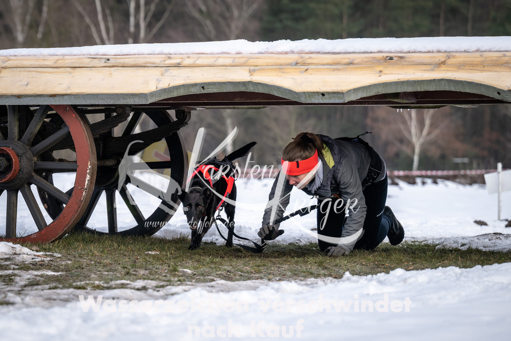 0813_ZZ90979-5 | kk-dogfotos