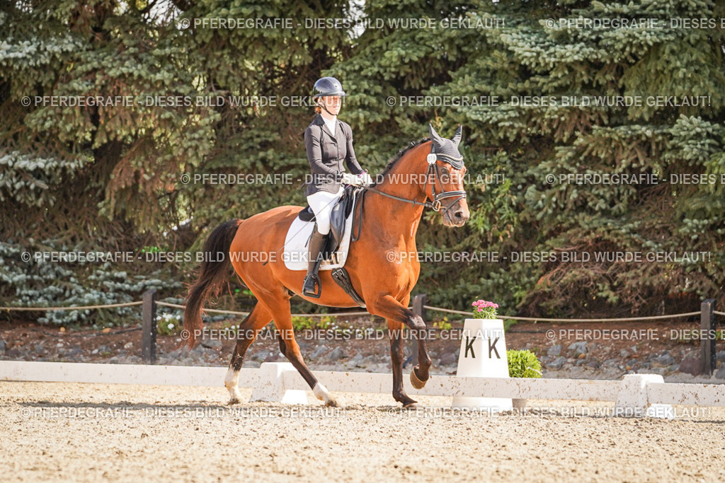 DSC00601 | Pferdegrafie