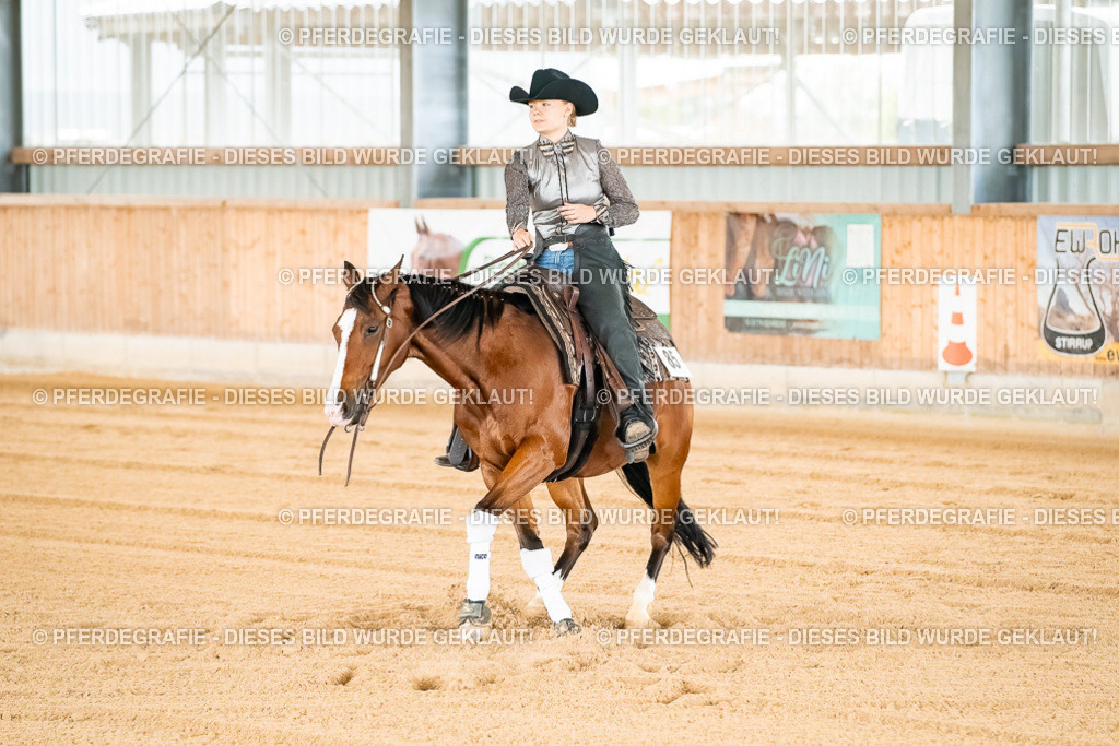 DSC02782 | Pferdegrafie