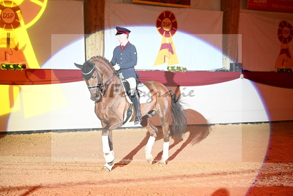 Don Royal_2241771 | hf-fotografie - Realisiert mit Pictrs.com