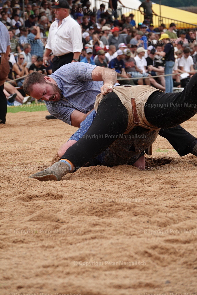 DSC01257 | Schwingen - Realisiert mit Pictrs.com
