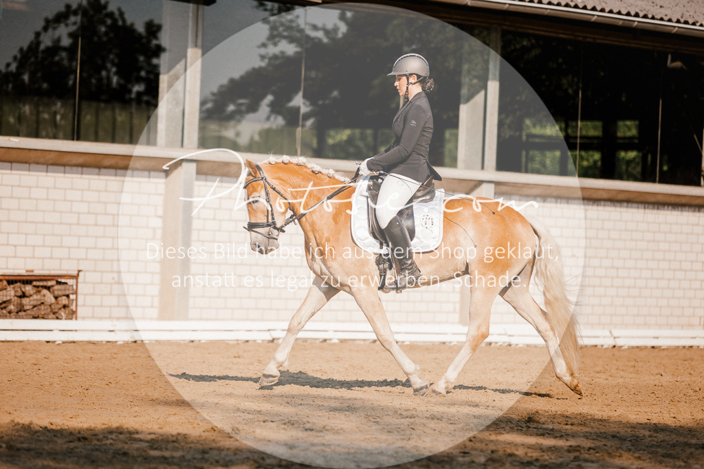 3I6A8724 | Stimmungsvolle Portraits und Reitsportfotografie im Ruhrgebiet und im Münsterland.

Pferdefotografie, Hundefotografie, Tierfotografie, Reportagen, Portraits von Tier und Mensch, Turnierfotografie in Bochum, Recklinghausen, Marl, Haltern am See, Dülmen.. - Realisiert mit Pictrs.com