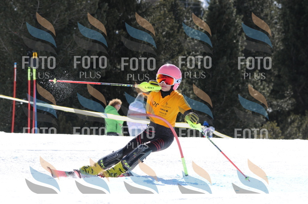 C9226 | holidayphoto