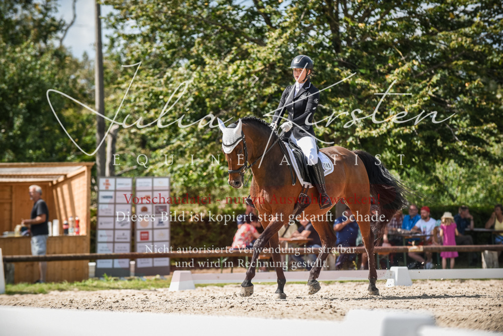 DSC_9311 | Pferde- und Turnierfotografie in Westsachsen. Pferdeportraits, Auftragszeichnungen und intuitive Kunst.